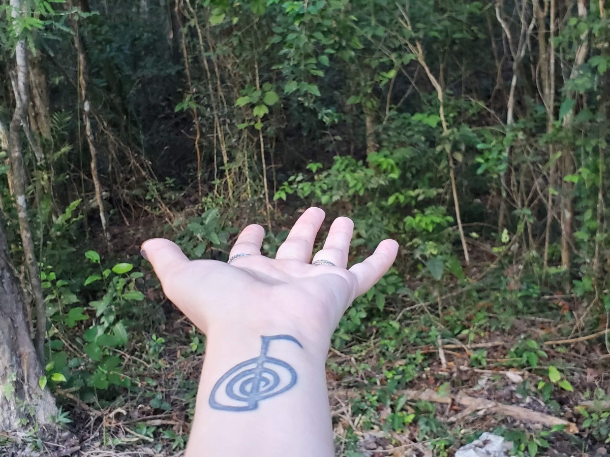 Autumnal Reflections +&nbsp;Interview